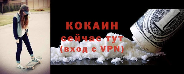 ешки Алзамай