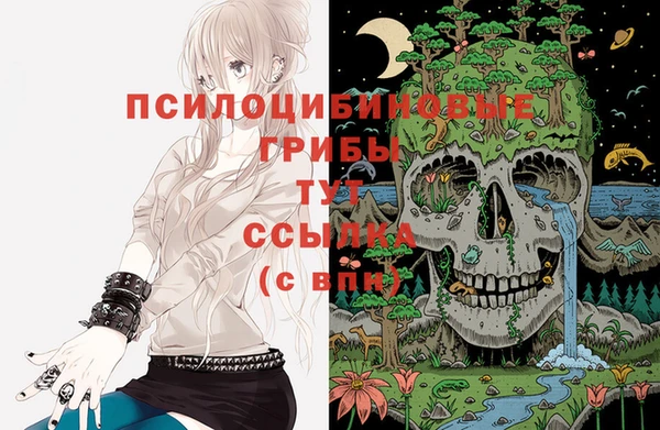 ешки Алексин
