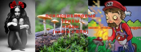 ешки Алексин