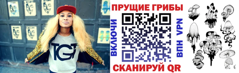 Галлюциногенные грибы прущие грибы Черкесск